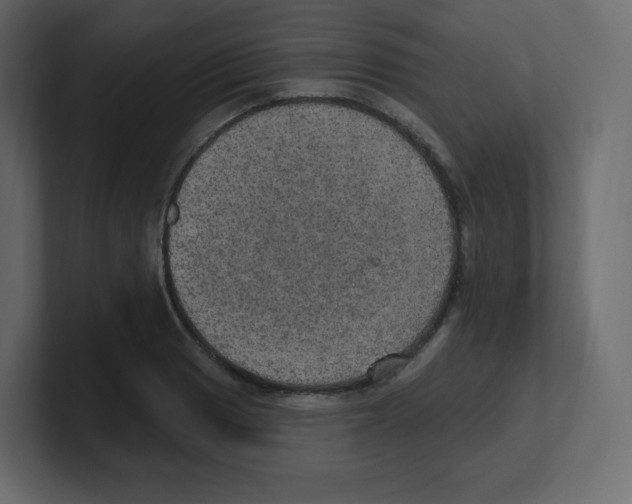 X0000100501033200807111139