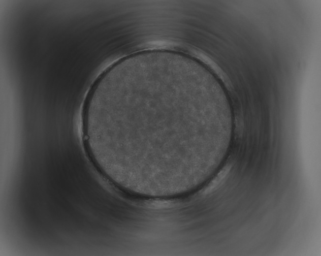 X0000100501034200807111139