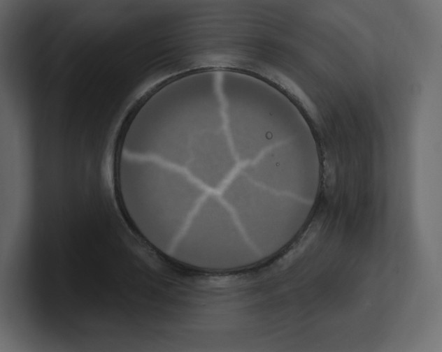 X0000100501035200807111139