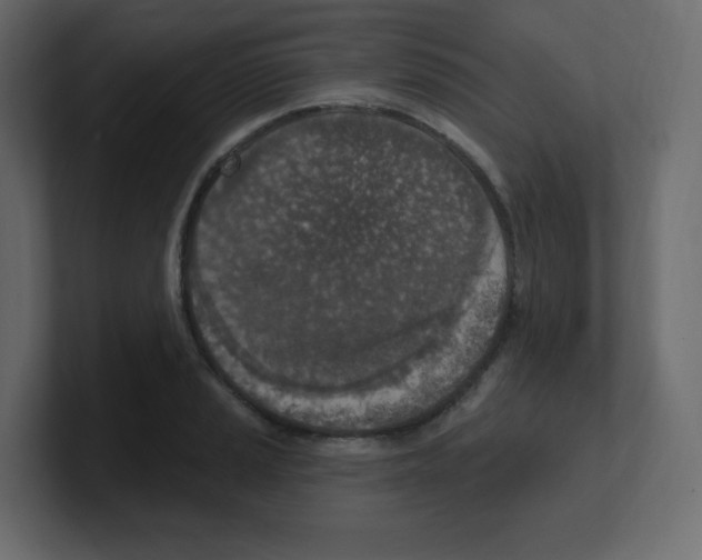 X0000100501037200807111139