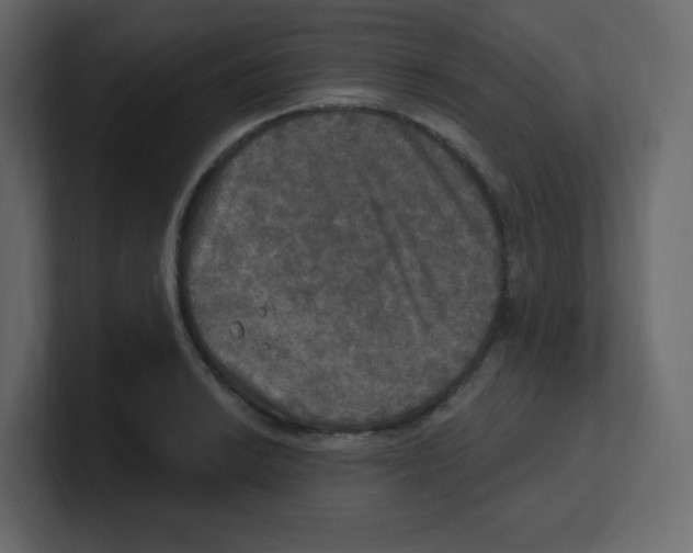 X0000100501038200807111139