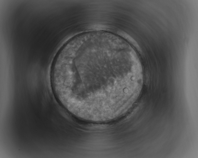 X0000100501039200807111139