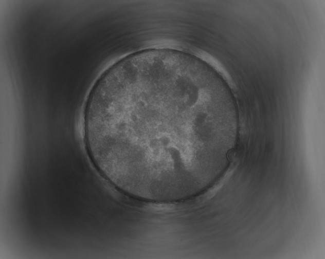 X0000100501040200807111139