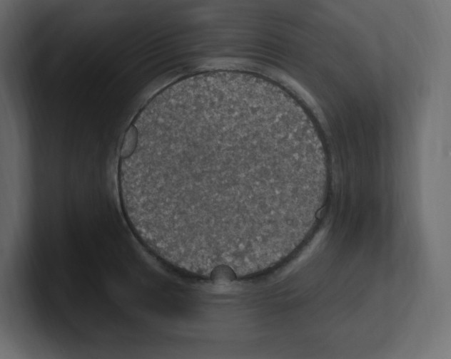 X0000100501041200807111139