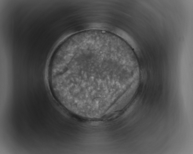 X0000100501043200807111139