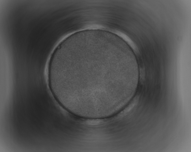 X0000100501046200807111139