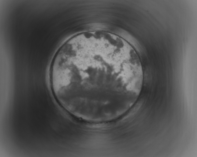 X0000100501047200807111139