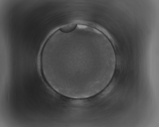 X0000100501048200807111139