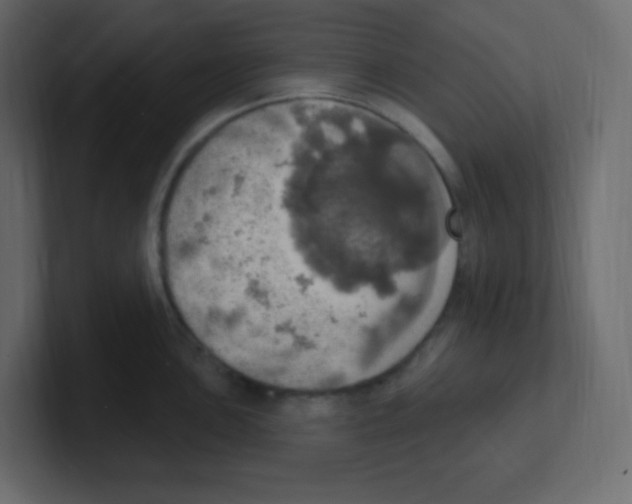 X0000100501051200807111139