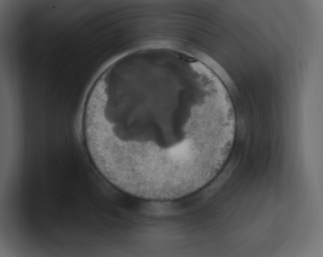 X0000100501052200807111139