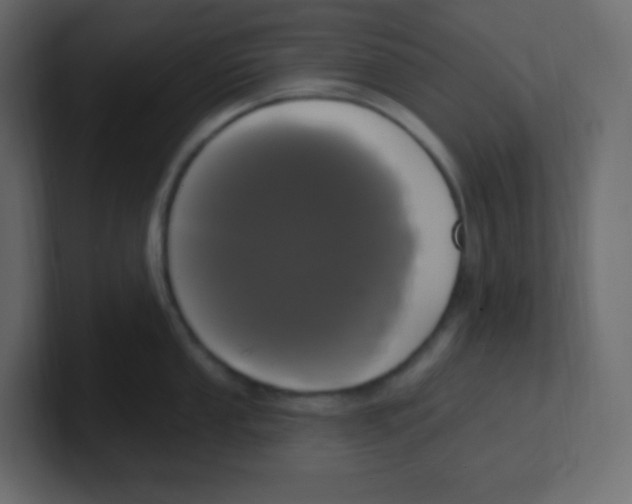 X0000100501053200807111139