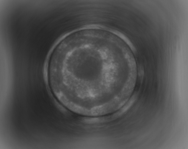 X0000100501054200807111139