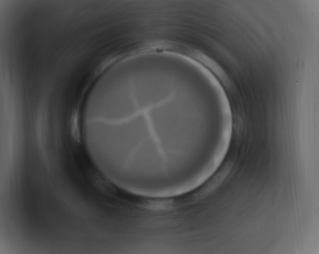 X0000100501055200807111139