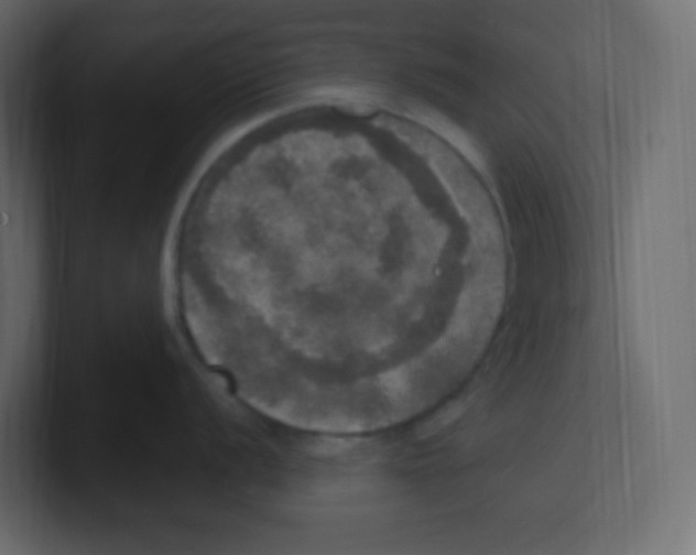 X0000100501056200807111139