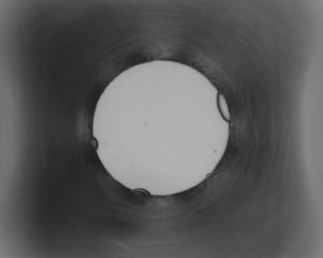 X0000100501058200807111138