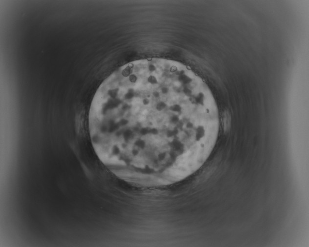 X0000100501059200807111138