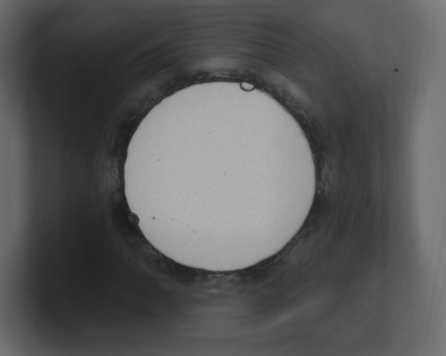 X0000100501062200807111138