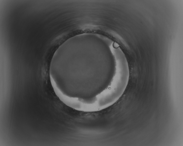 X0000100501063200807111138