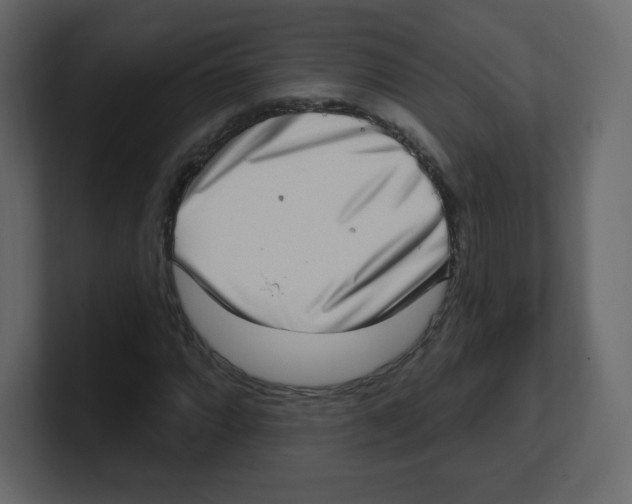 X0000100501064200807111138