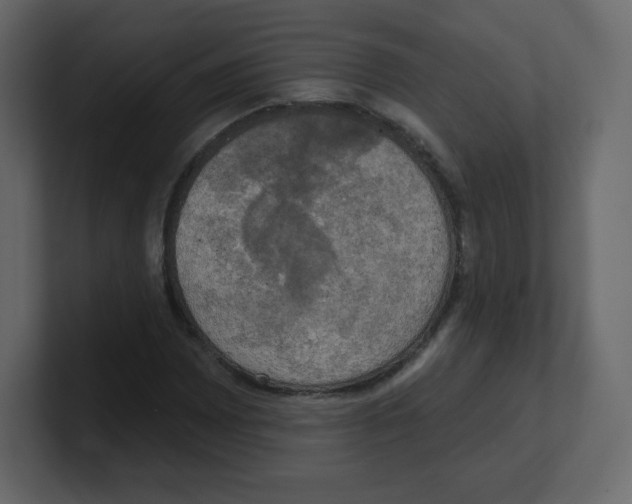 X0000100501065200807111138