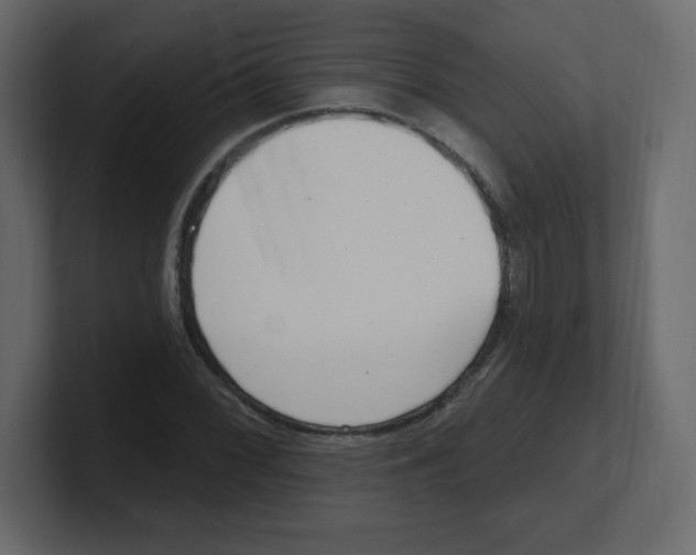 X0000100501068200807111138