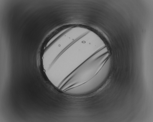 X0000100501069200807111138