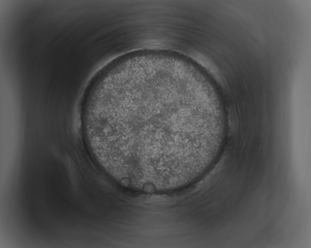 X0000100501070200807111138