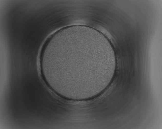 X0000100501072200807111138