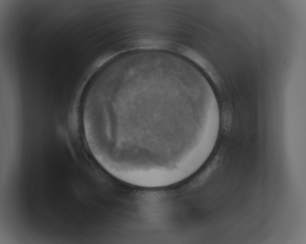 X0000100501074200807111138