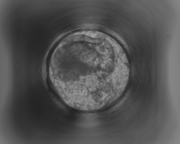 X0000100501075200807111138