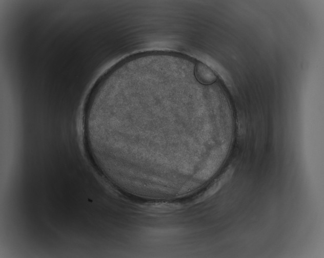 X0000100501077200807111138