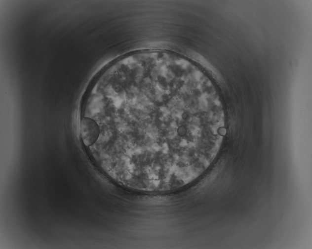 X0000100501079200807111138