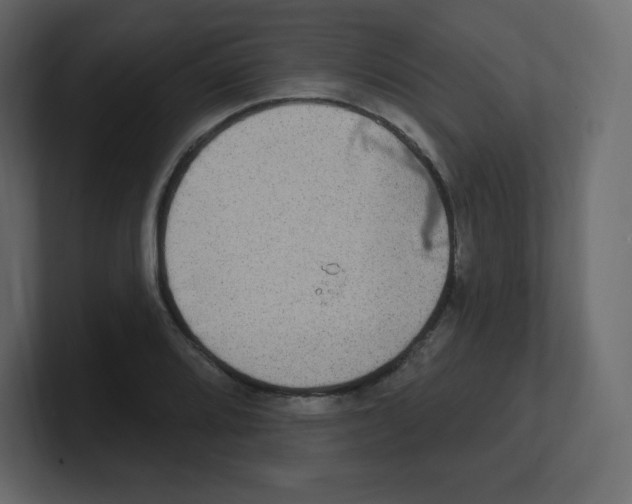 X0000100501080200807111138