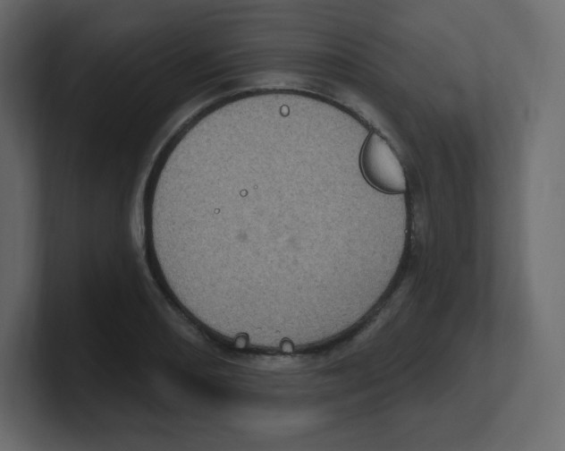 X0000100501082200807111138