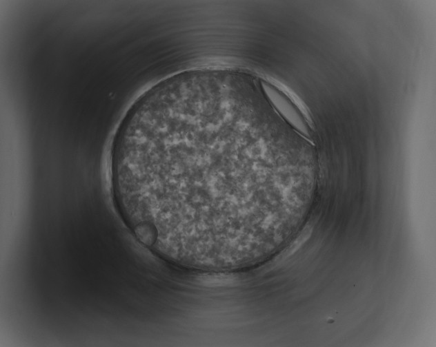 X0000100501083200807111138