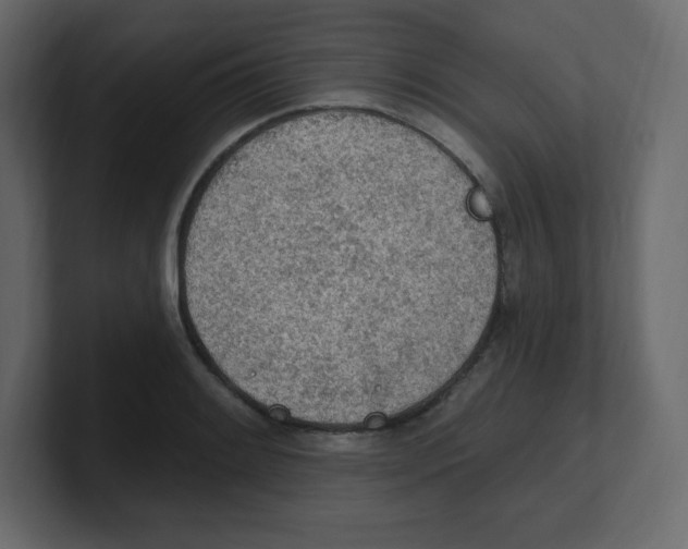 X0000100501084200807111138