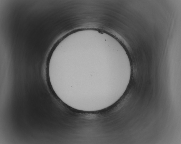 X0000100501085200807111138