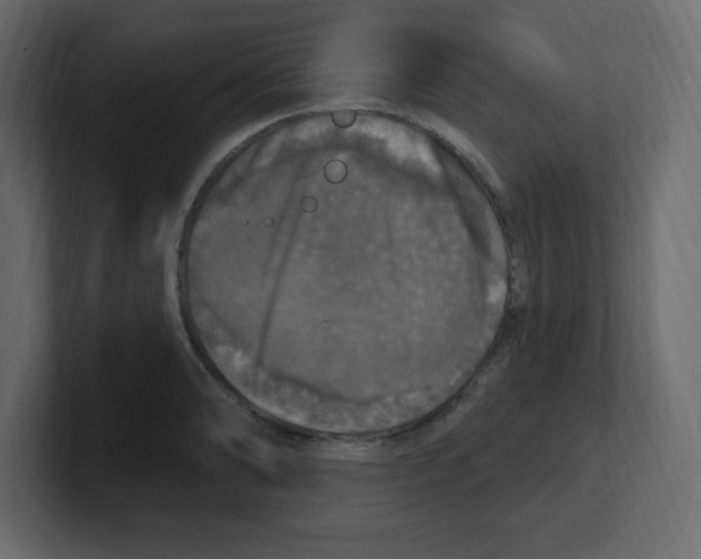 X0000100501086200807111138