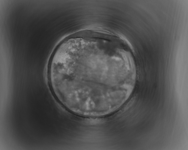 X0000100501087200807111138