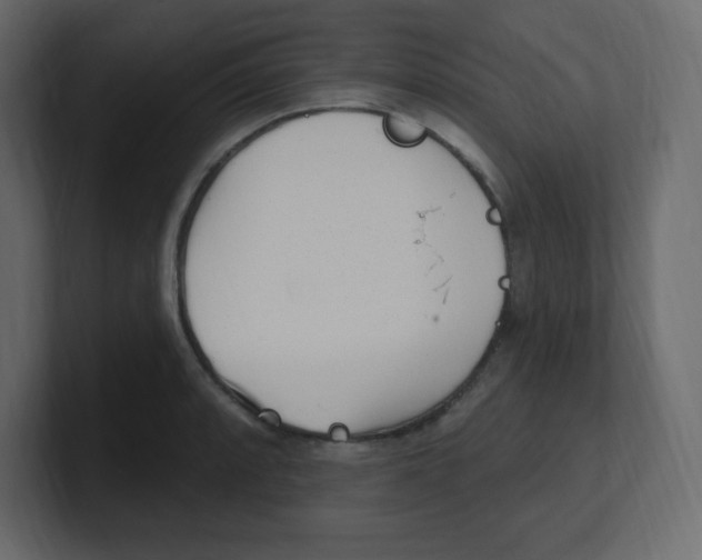 X0000100501088200807111138