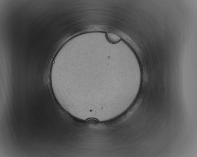 X0000100501089200807111138