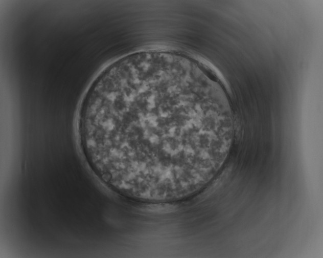 X0000100501091200807111138