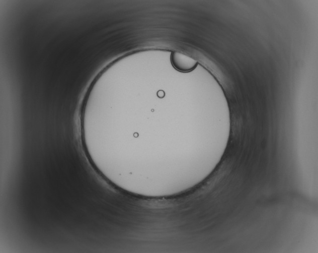 X0000100501092200807111138