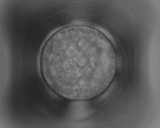 X0000100501094200807111138