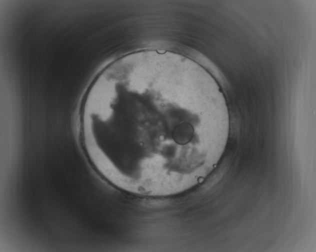 X0000100501095200807111138