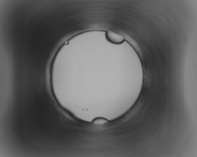 X0000100501096200807111138