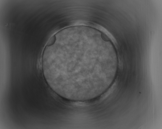 X0000100501097200807111138