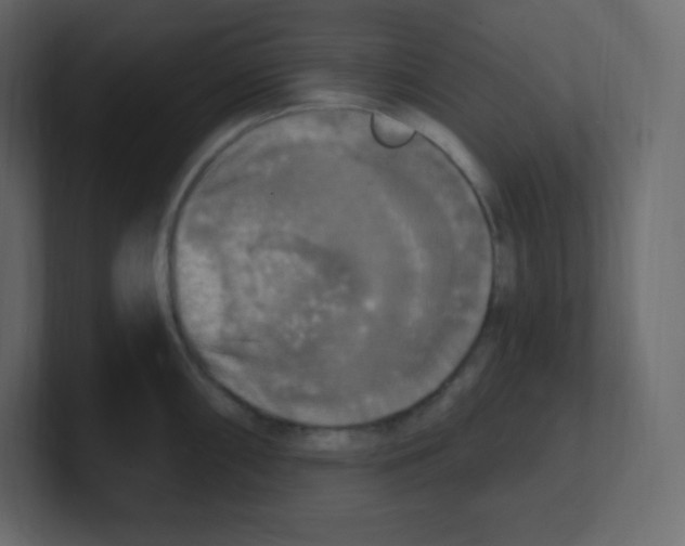 X0000100501098200807111138