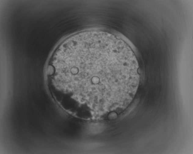 X0000100501099200807111138