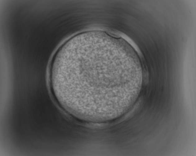 X0000100501101200807111138